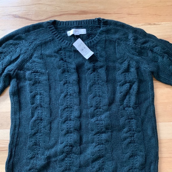 NWT Loft Green Cable Sweater - medium petite - Picture 3 of 8